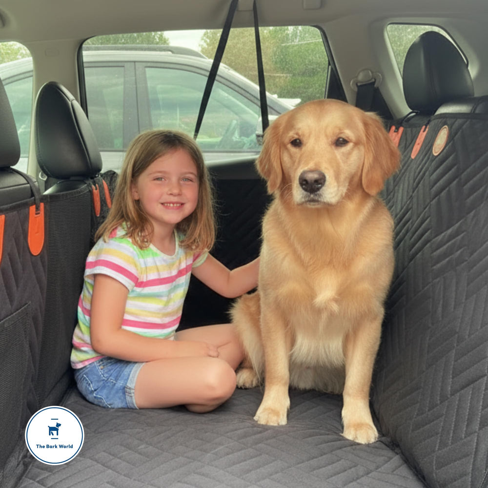 The Bark World instalación y limpieza rápidas para viajes y uso diario.