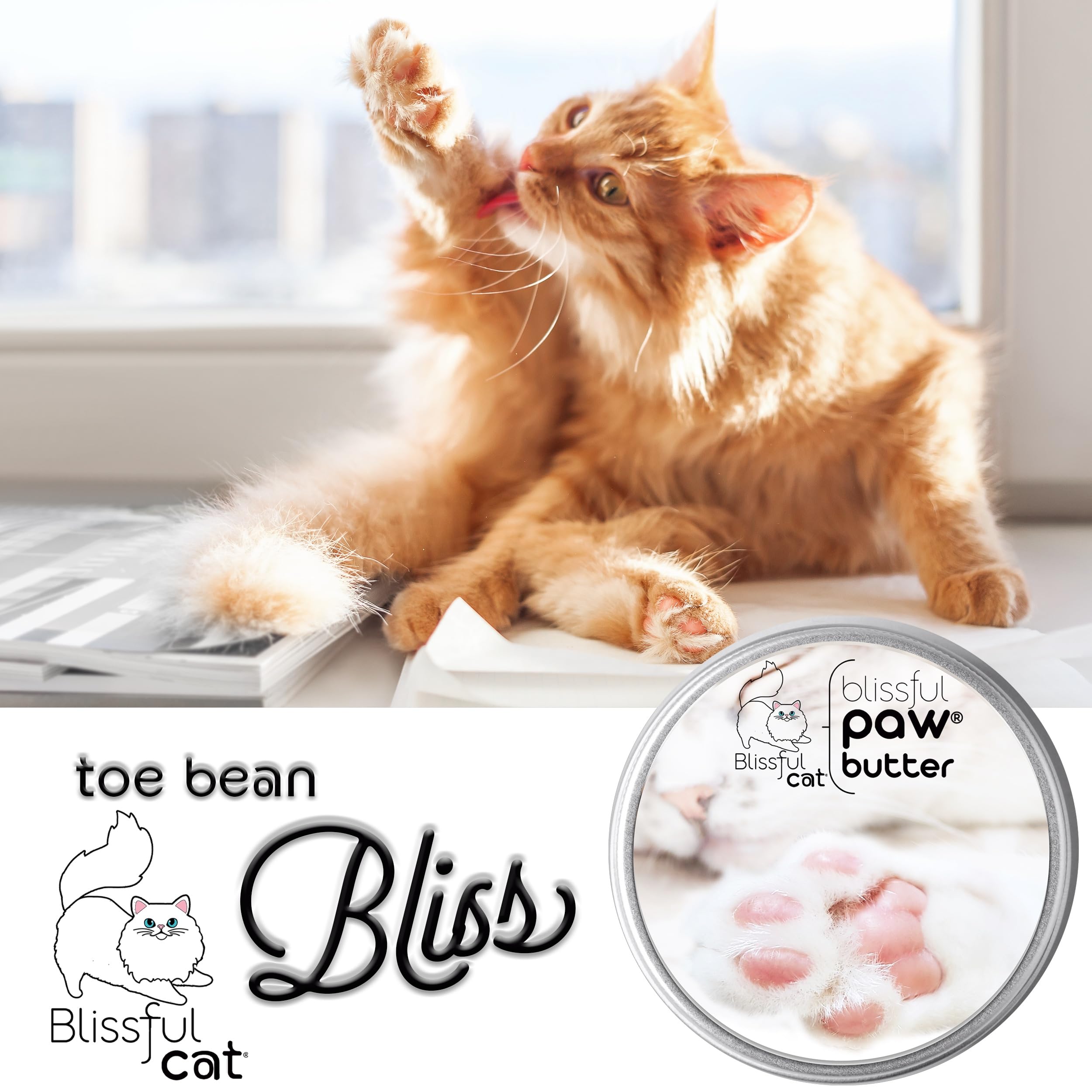 The Blissful Cat Paw Butter aplicación fácil en las patitas de tu gato.