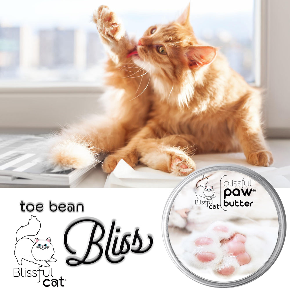 The Blissful Cat Paw Butter aplicación fácil en las patitas de tu gato.