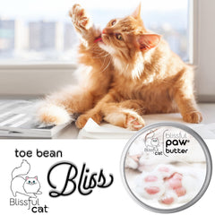The Blissful Cat Paw Butter aplicación fácil en las patitas de tu gato.
