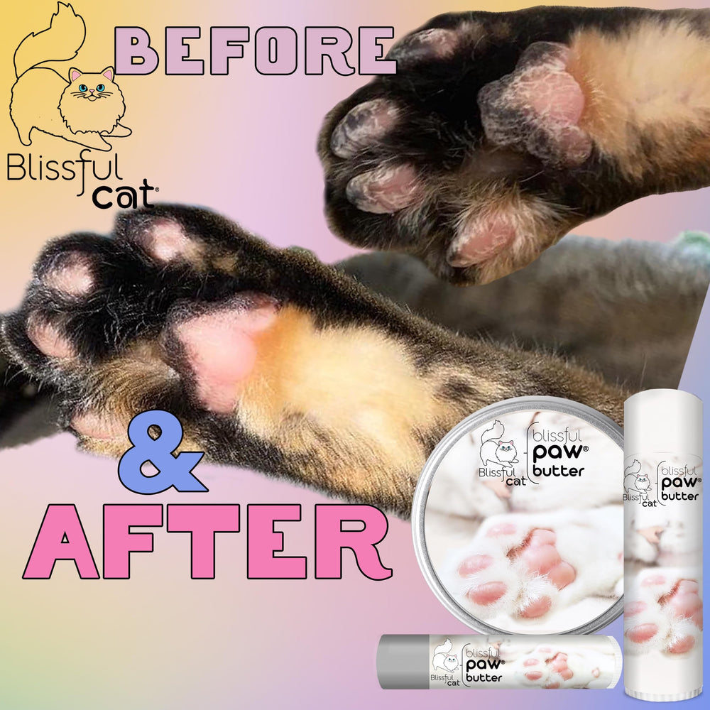 The Blissful Cat Paw Butter apto para todas las razas felinas.