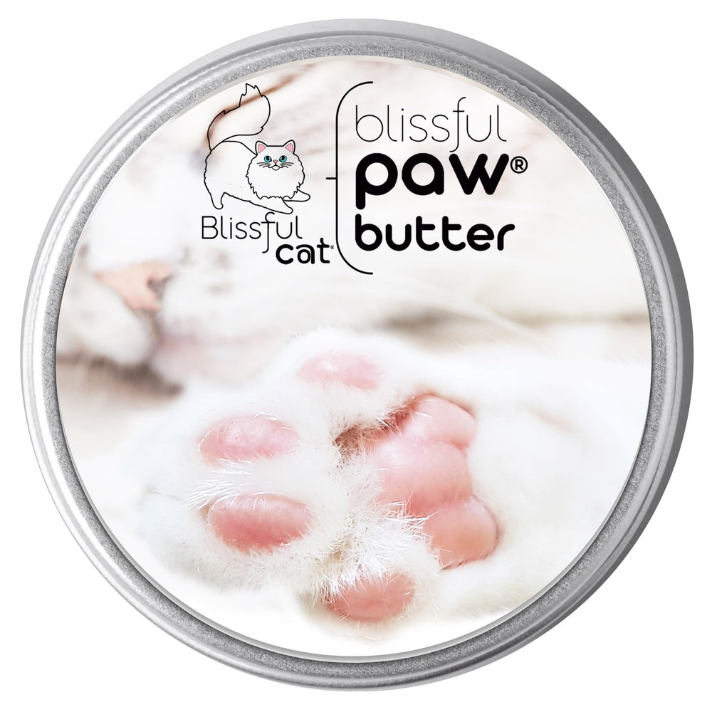 The Blissful Cat Paw Butter en frasco, cuidado suave para las almohadillas.