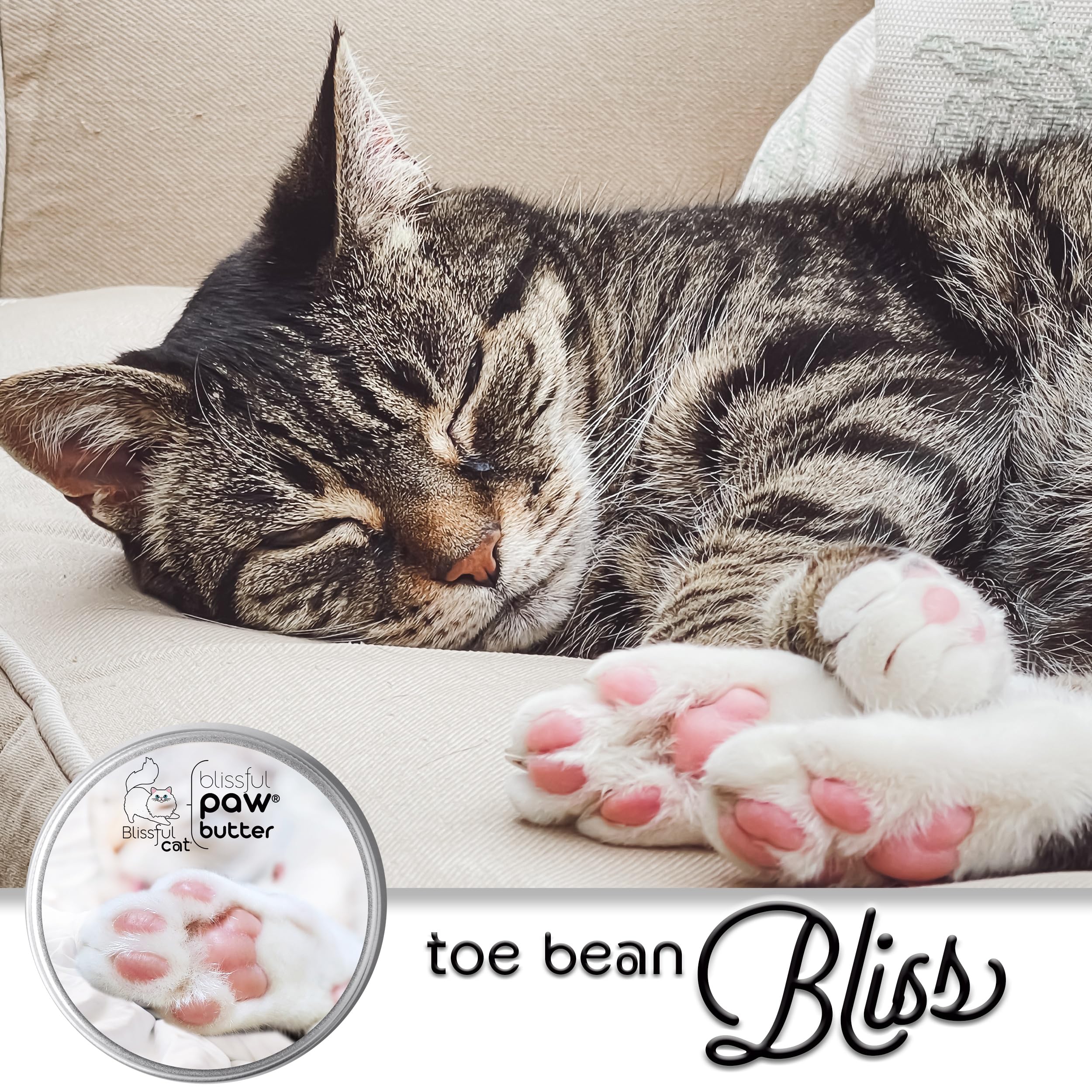 The Blissful Cat Paw Butter cuidado suave para mascotas.