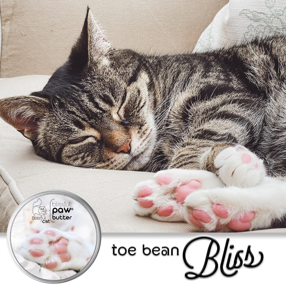 The Blissful Cat Paw Butter cuidado suave para mascotas.