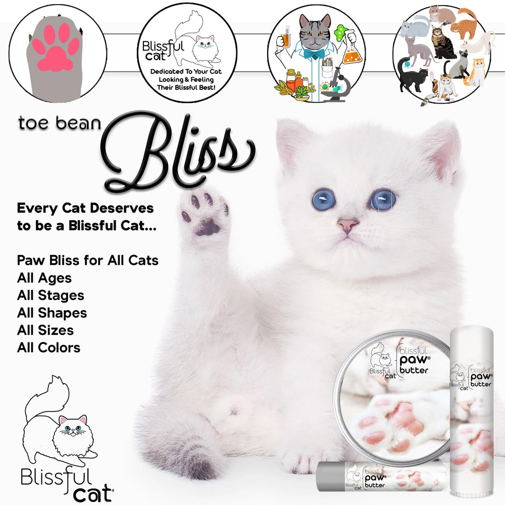 The Blissful Cat Paw Butter muestra patas hidratadas tras la primera aplicación.