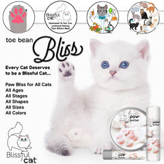 The Blissful Cat Paw Butter muestra patas hidratadas tras la primera aplicación.