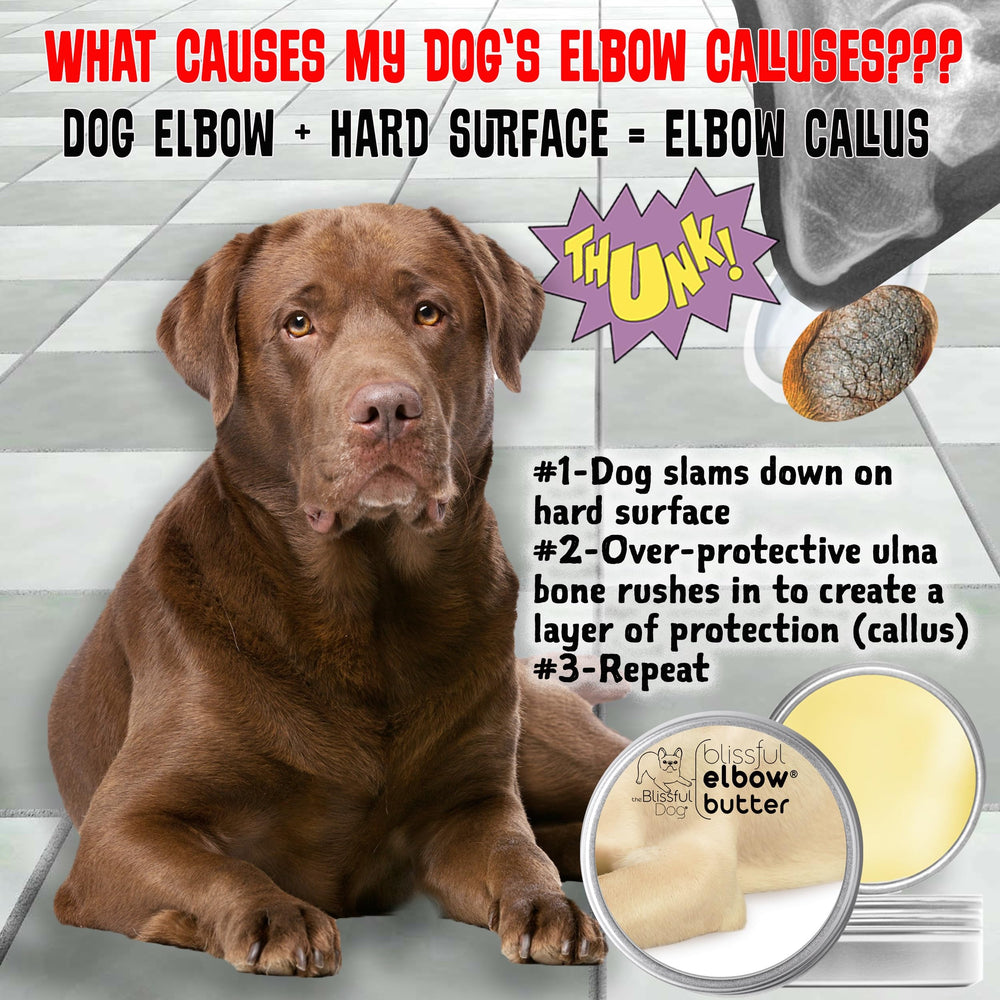 The Blissful Dog, aceite de coco para codo suave y flexible.