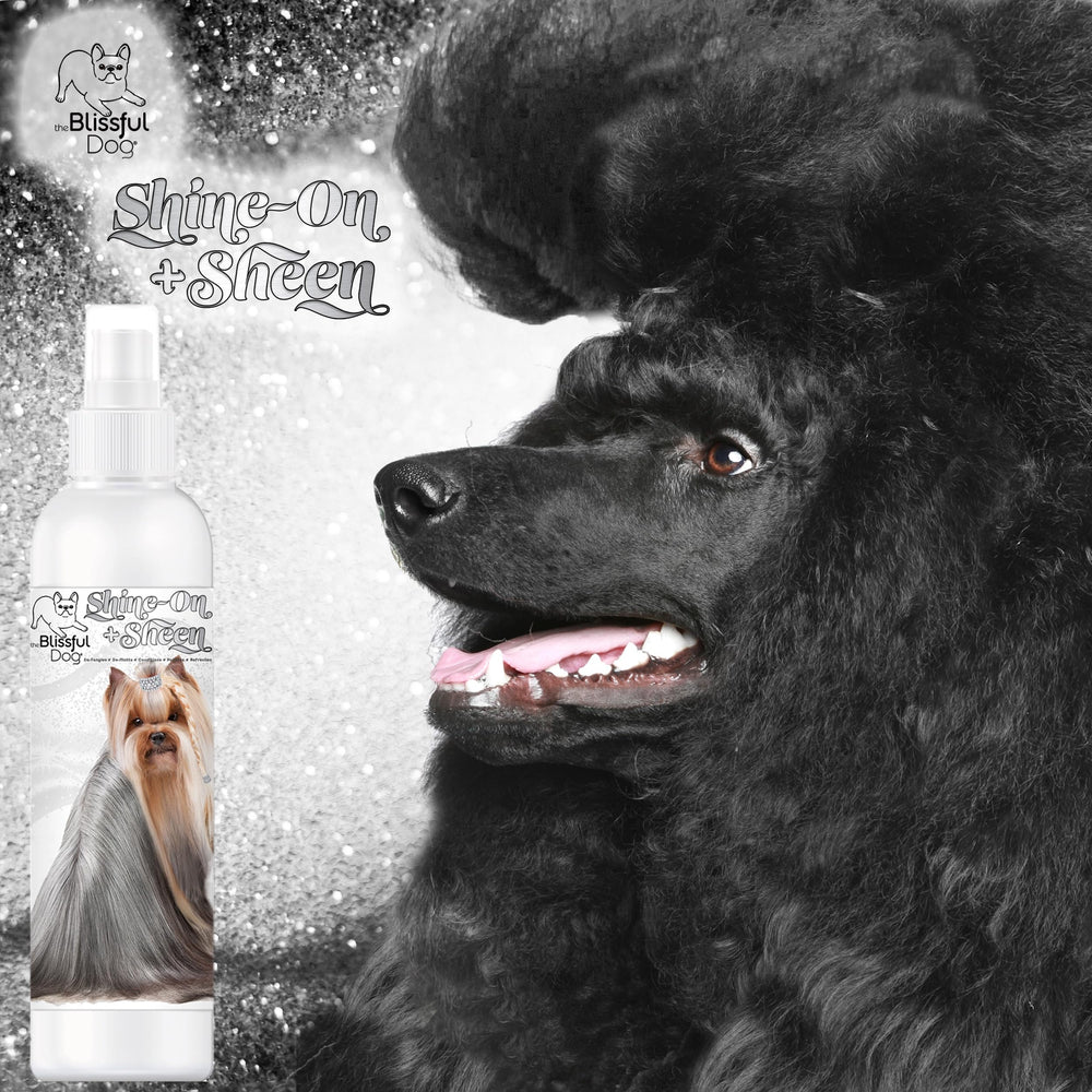 The Blissful Dog Ingredientes naturales con proteínas y vitaminas.