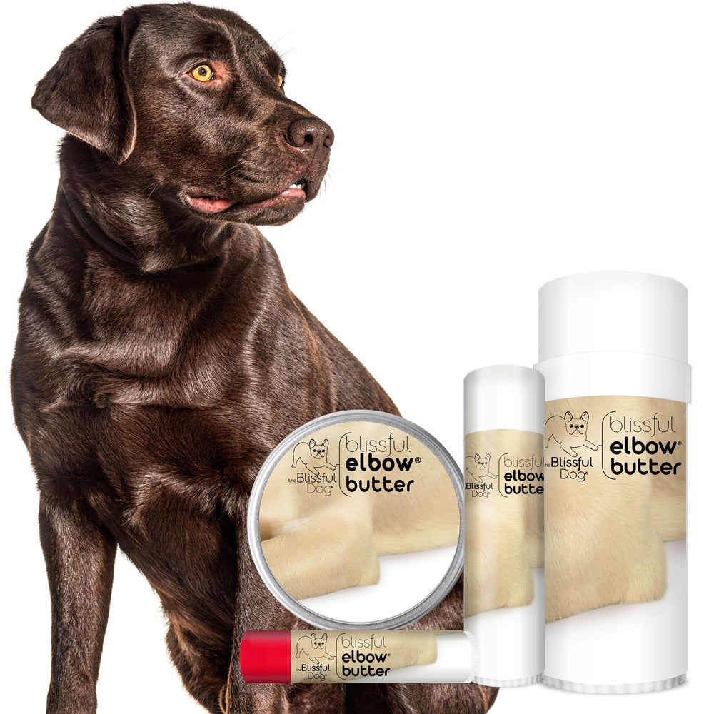 The Blissful Dog tamano practical para casa y viaje.