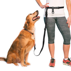 The Buddy System, correa manos libres ajustable, ideal para paseos sin manos.