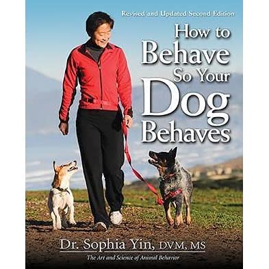 The Buddy System, apta para perros de todos los tamaños y ritmos.