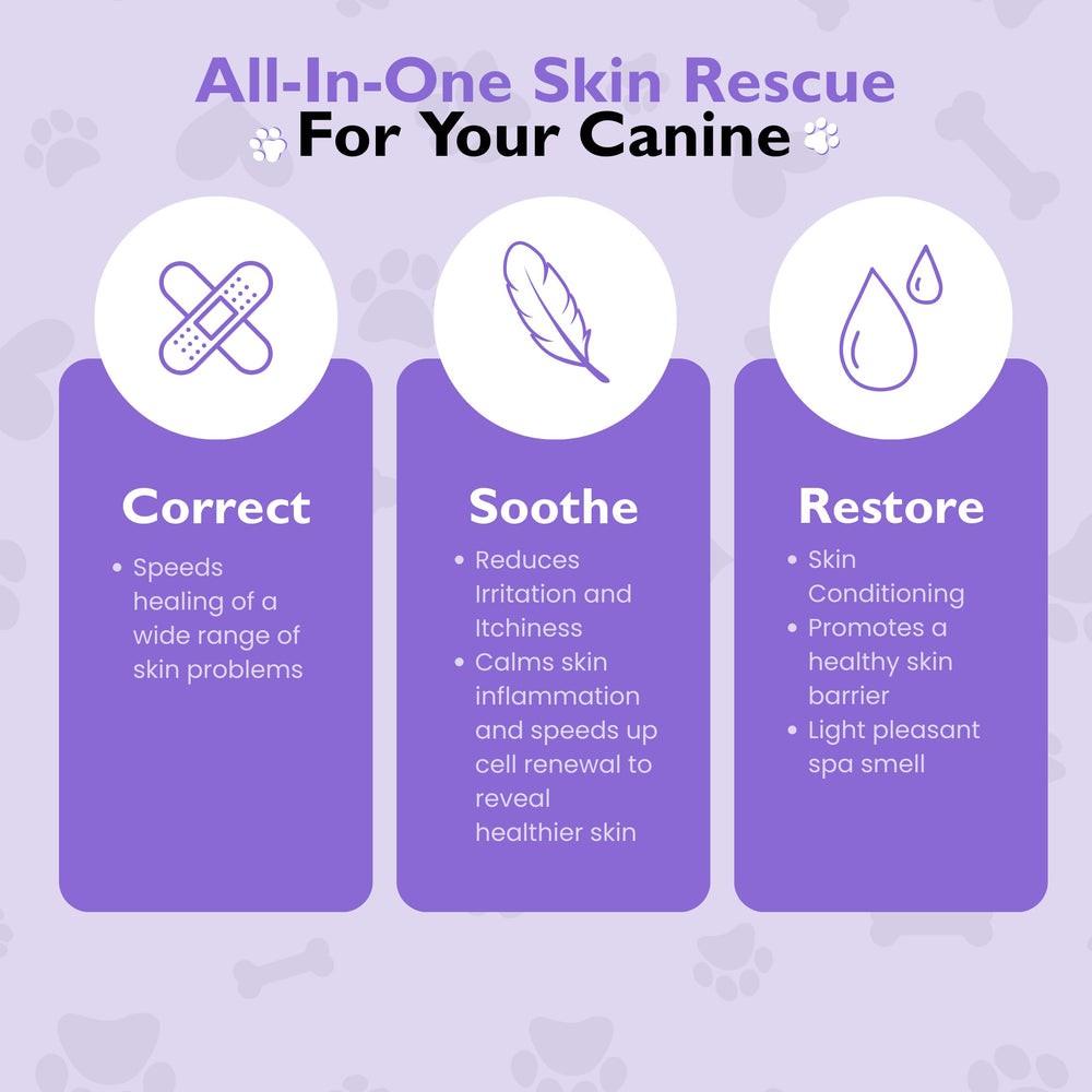 The Canine Project Aerosol de Terapia Vital para la Piel Canina, uso diario recomendado.