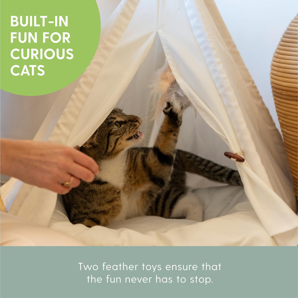 The Cat Ladies tepee funda lavable y cojín removible para limpieza rápida