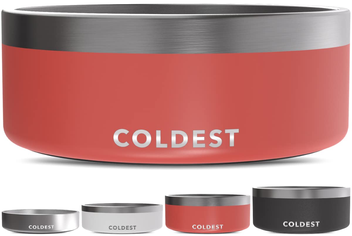 The Coldest Water Bowl con aislamiento triple para mascotas activas.
