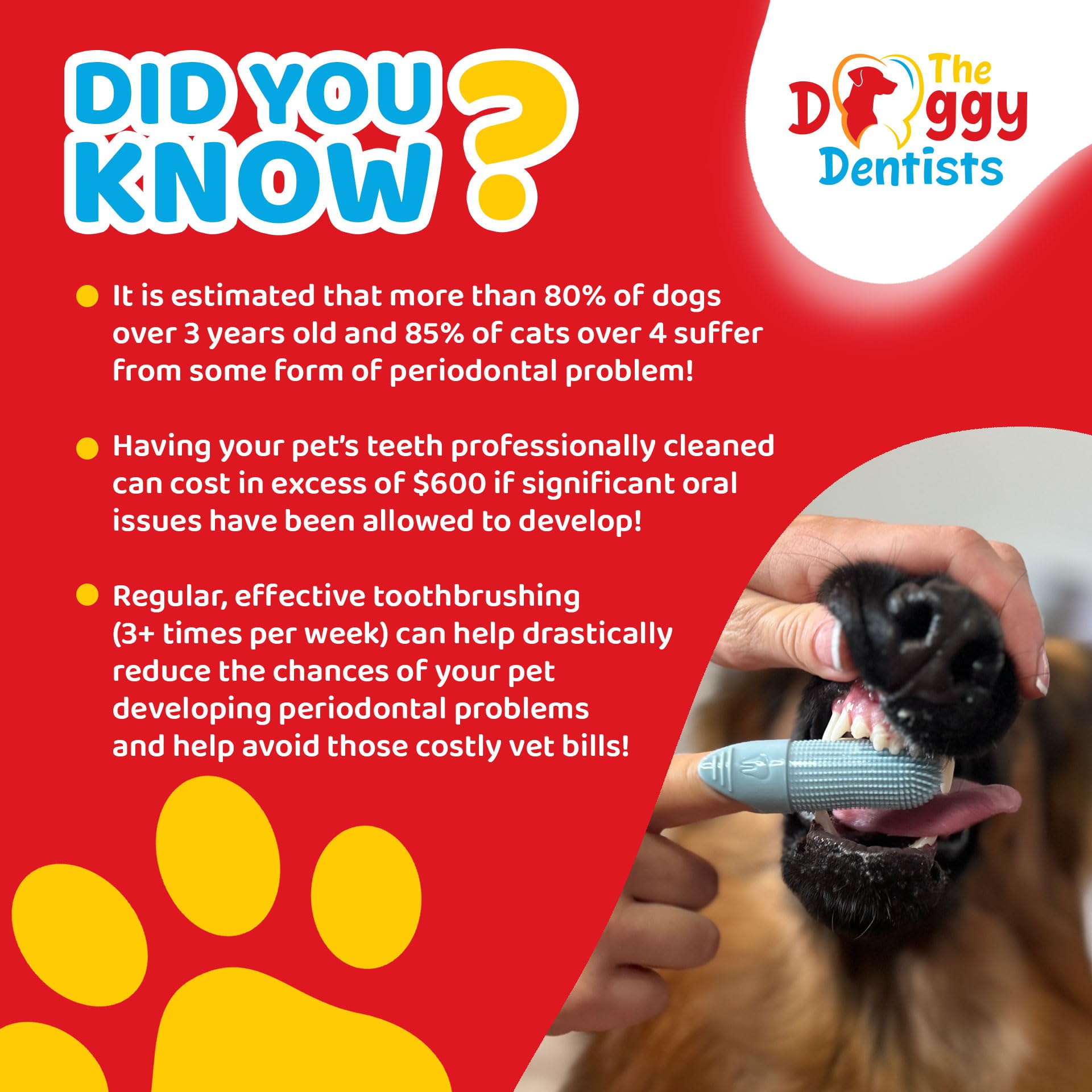The Doggy Dentists ahorro en visitas al veterinario con higiene regular