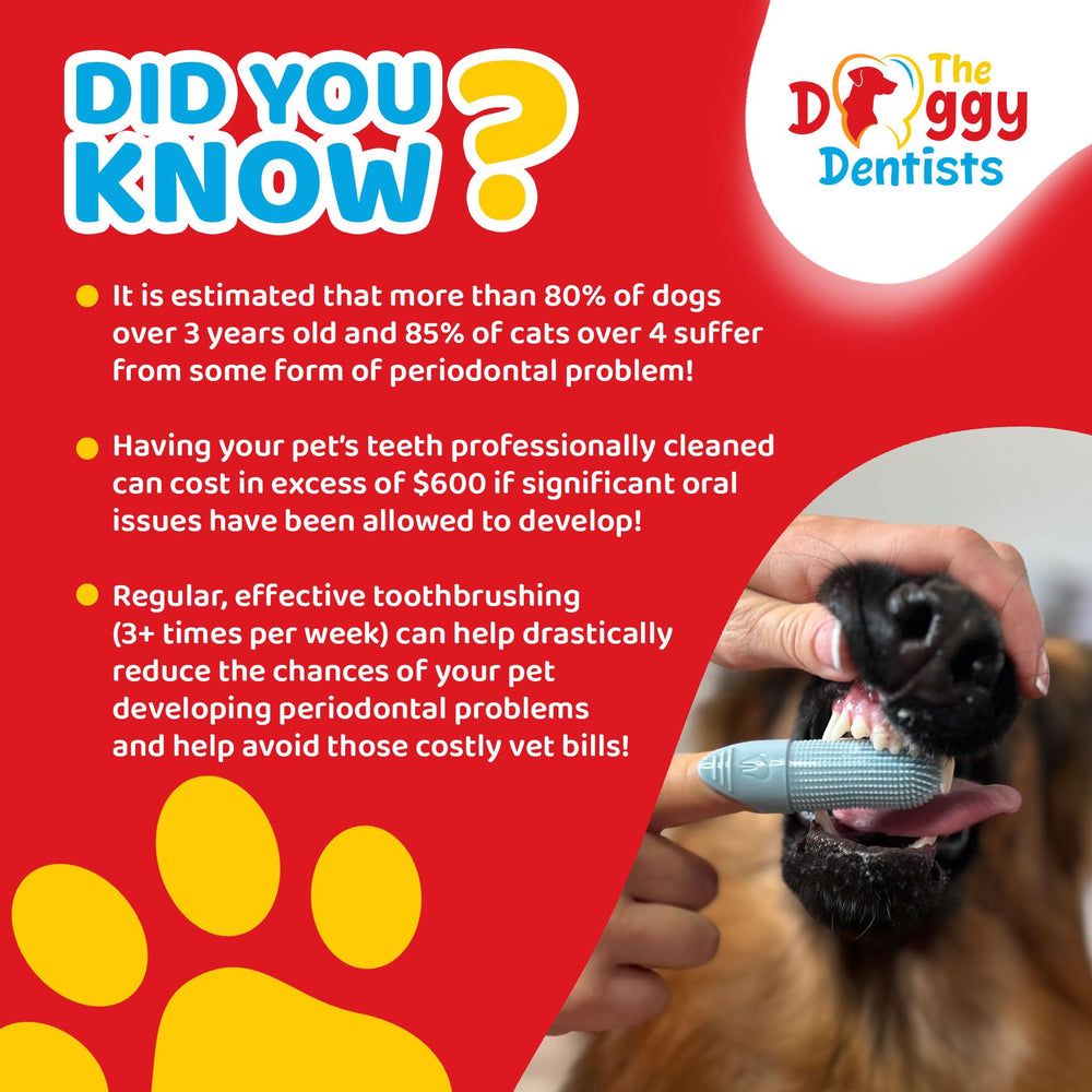 The Doggy Dentists ahorro en visitas al veterinario con higiene regular