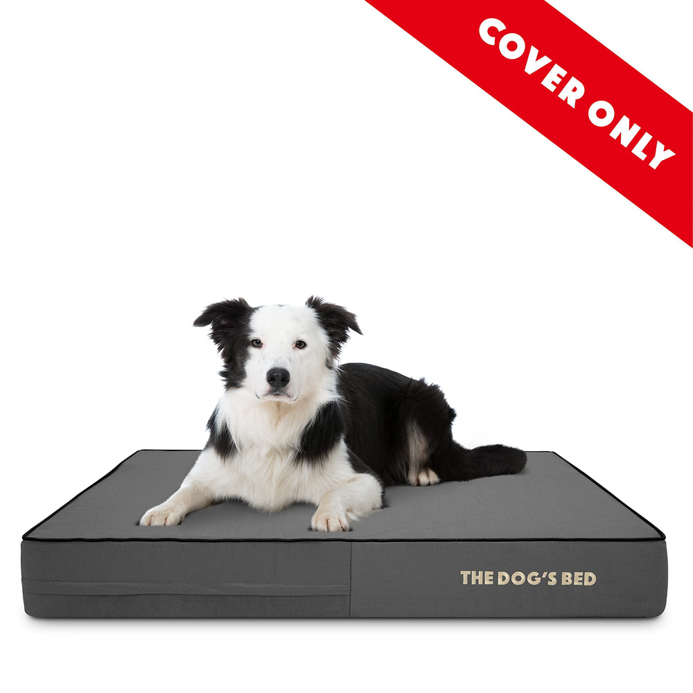 The Dog's Balls: cierre oculto en cubierta para lavado seguro.