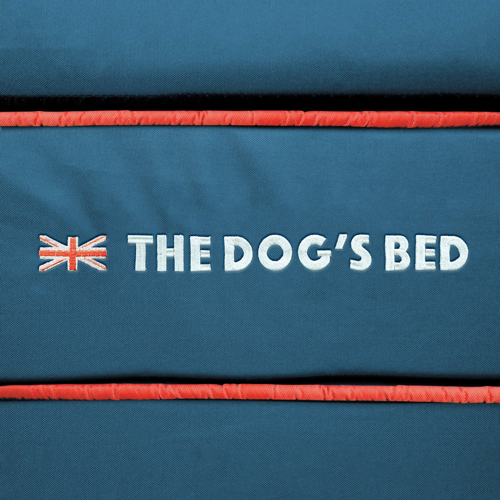 Color azul con ribete rojo y bandera UK de The Dog's Balls, estilo visible