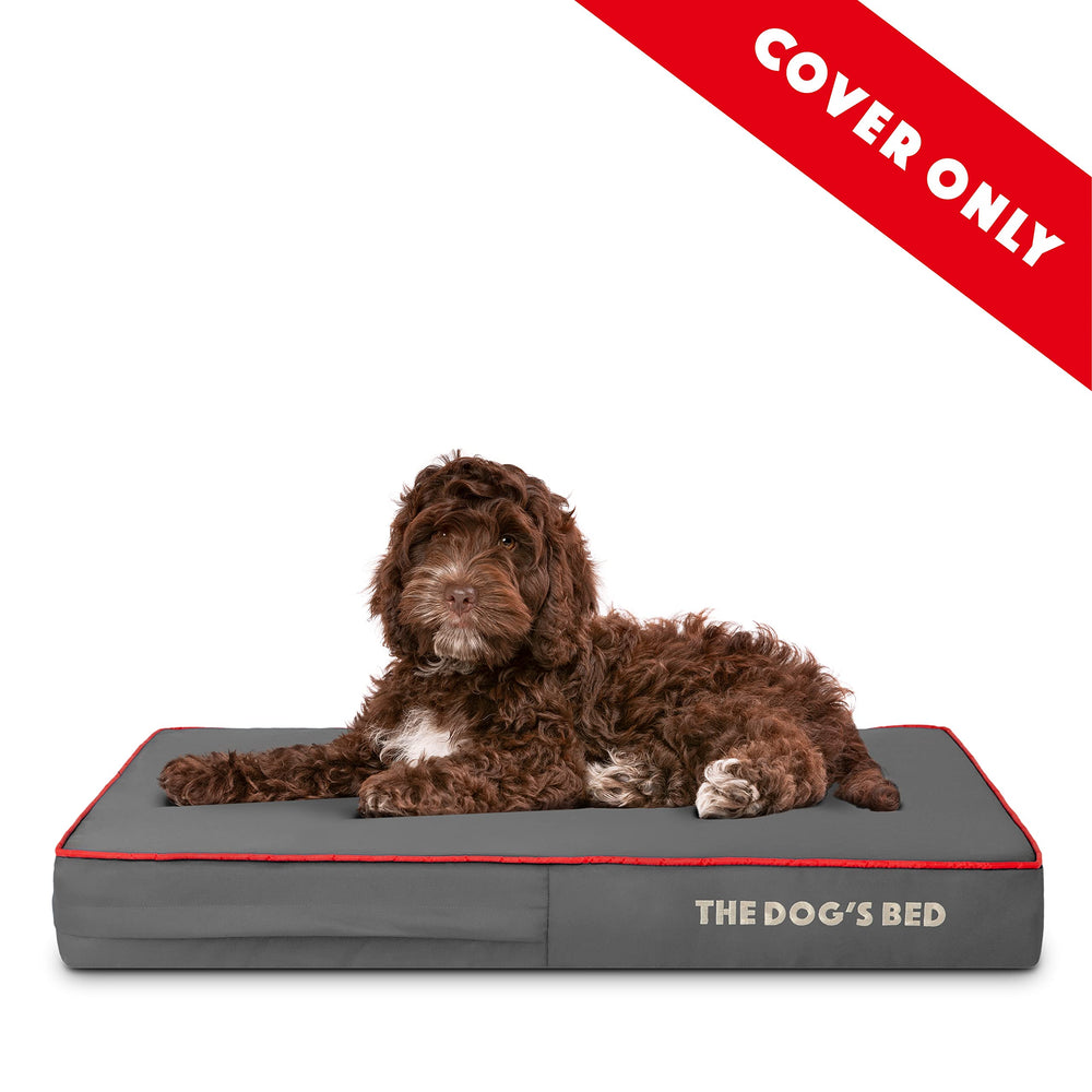 The Dog's Balls: guía de cuidado práctico para funda exterior The Dog's Bed.