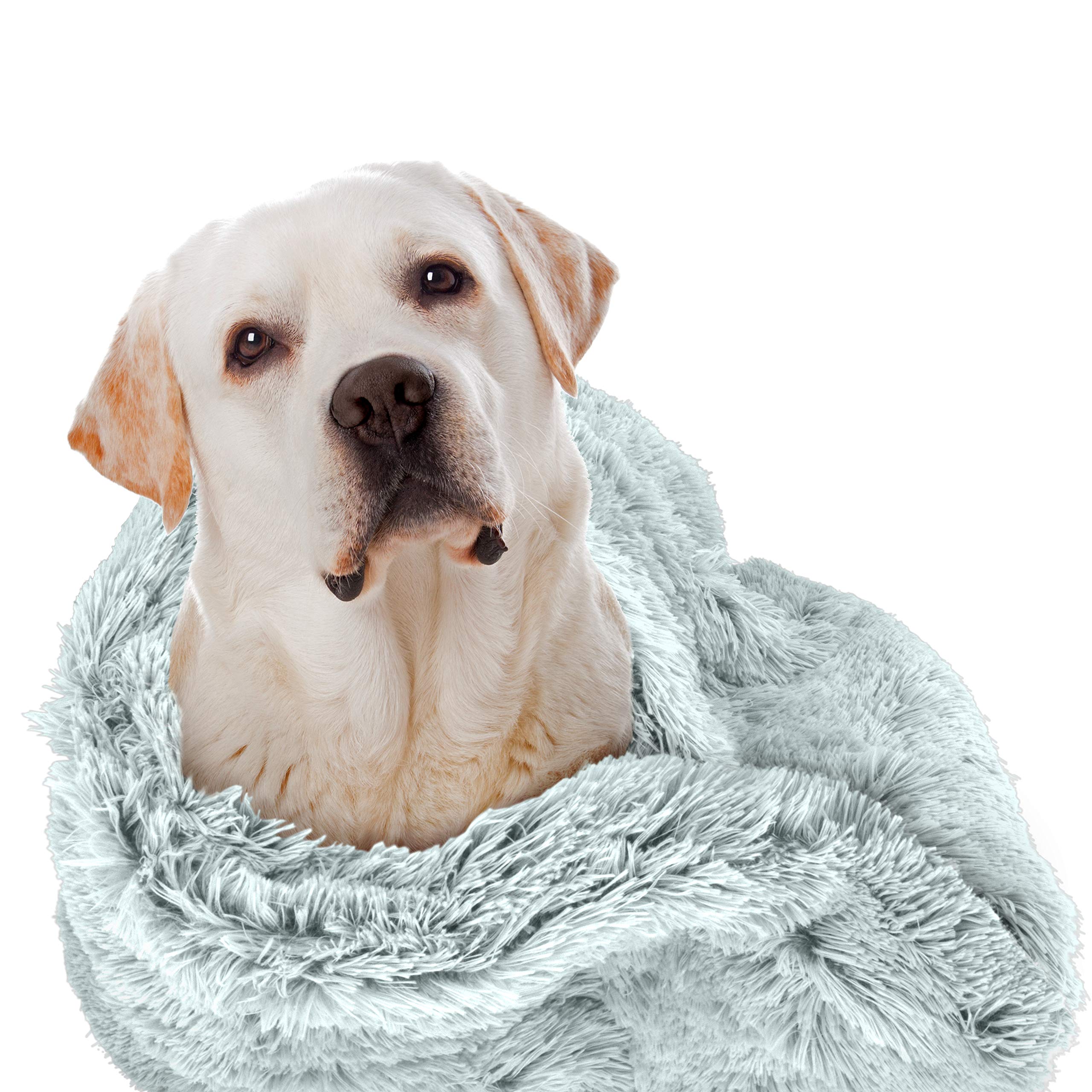 The Dog's Balls Manta Proteccion Camas Y Muebles: protege superficies de arañazos y desgaste.
