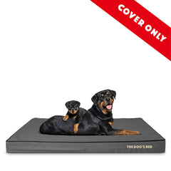 The Dog's Balls: funda de Oxford lavable para uso diario.