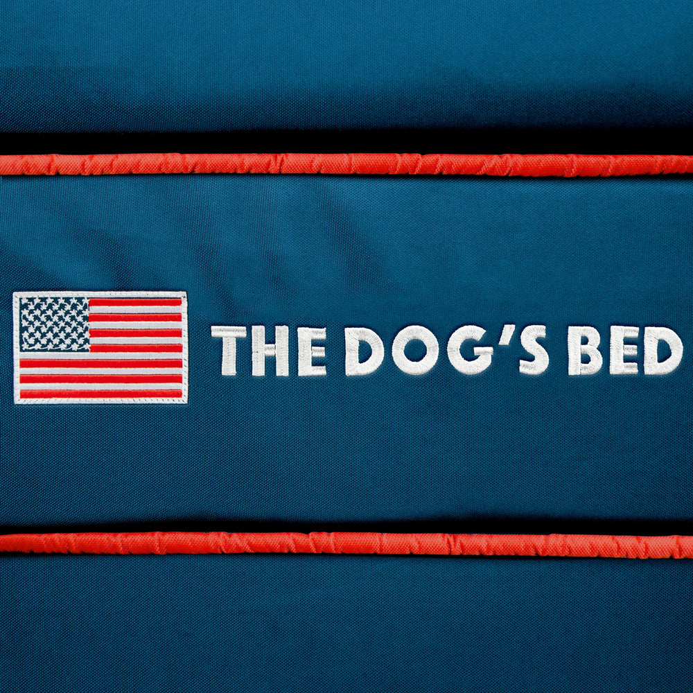 The Dog's Balls uso diario en casa con tu mascota