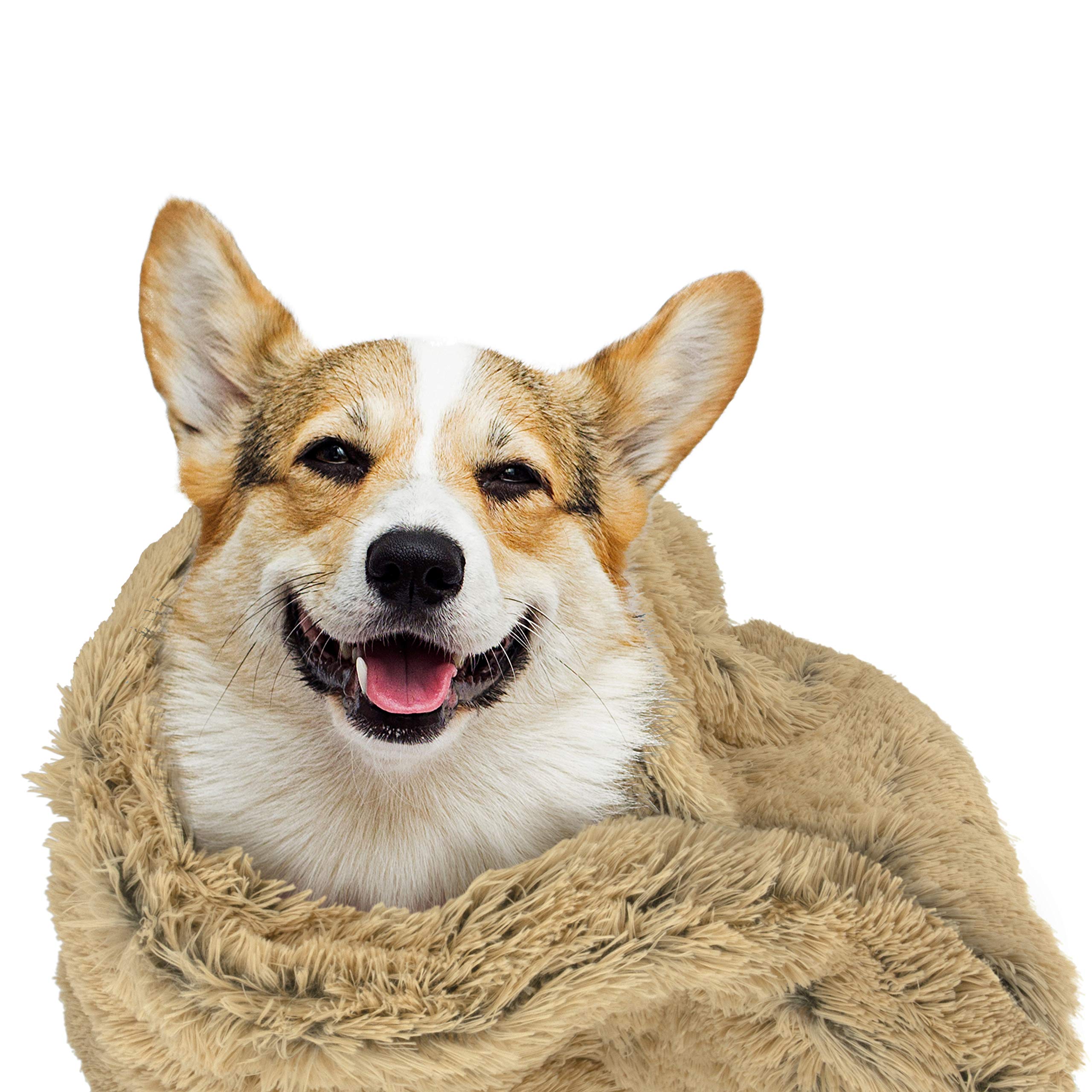 The Dog's Blanket protege muebles y camas de arañazos.