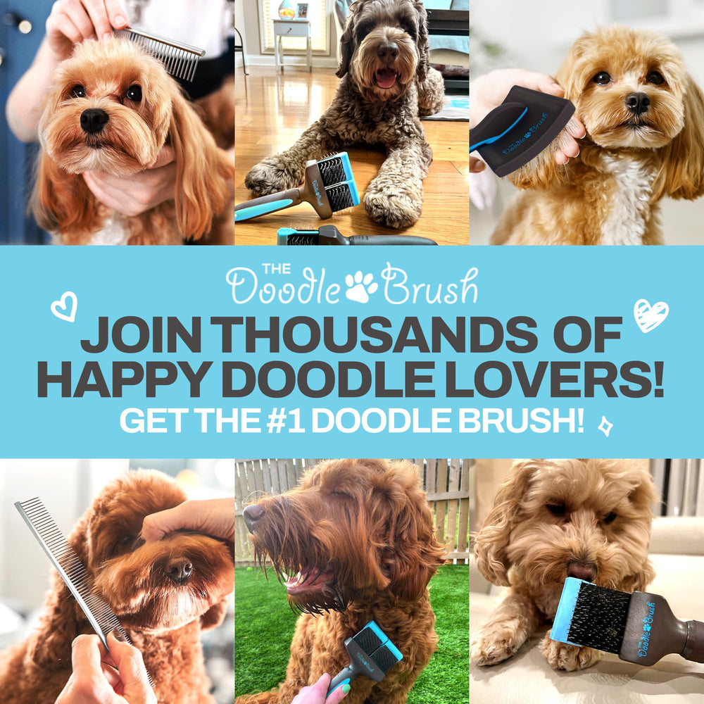 The Doodle Brush para todo tipo de pelo, de rizado a liso