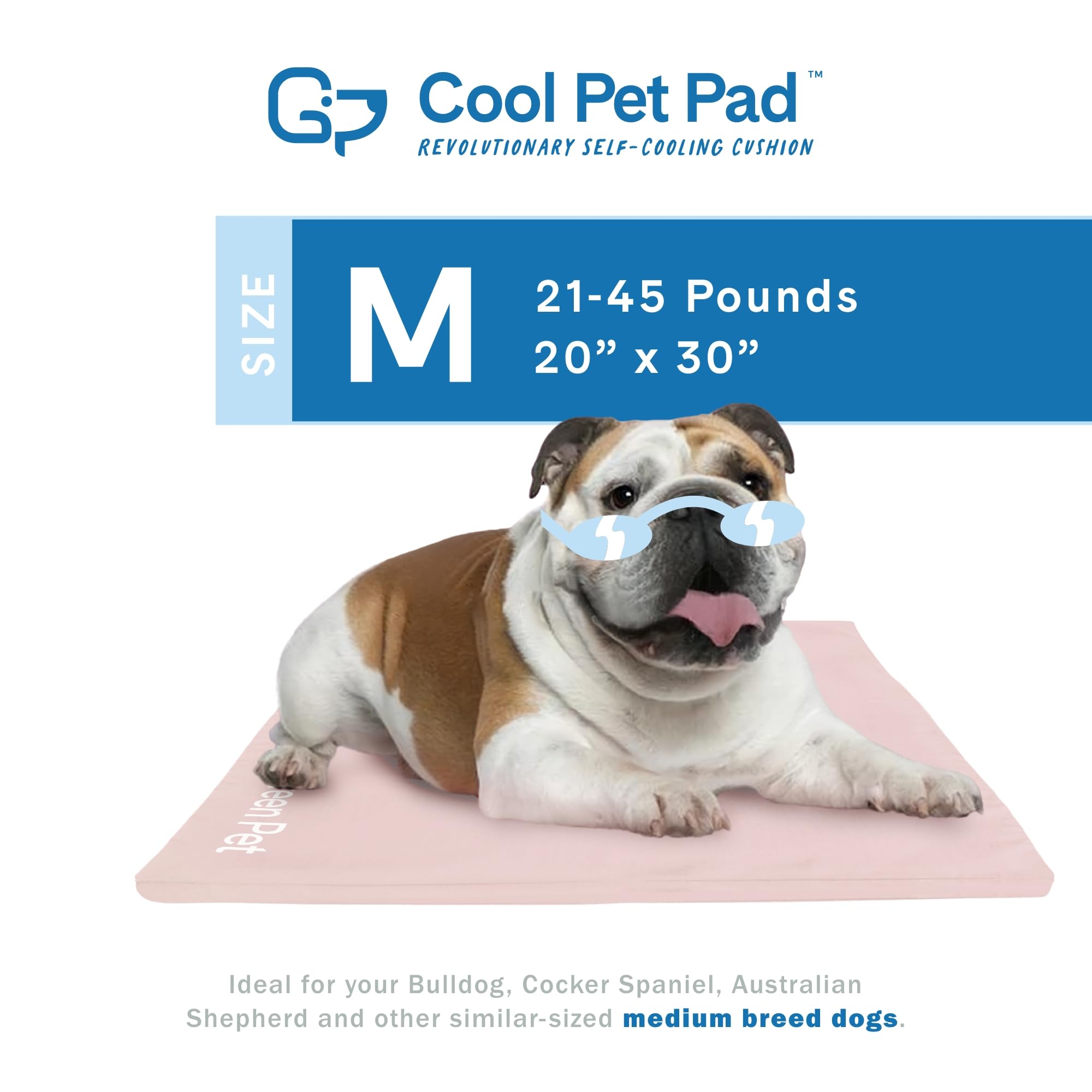 Ajuste preciso para el modelo Medium de The Green Pet Shop.