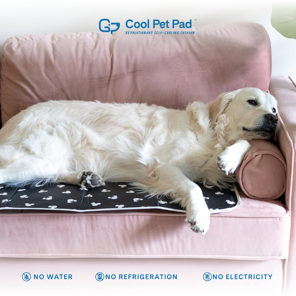 The Green Pet Shop Cool Pet Pad - ligero y plegable para viajar.