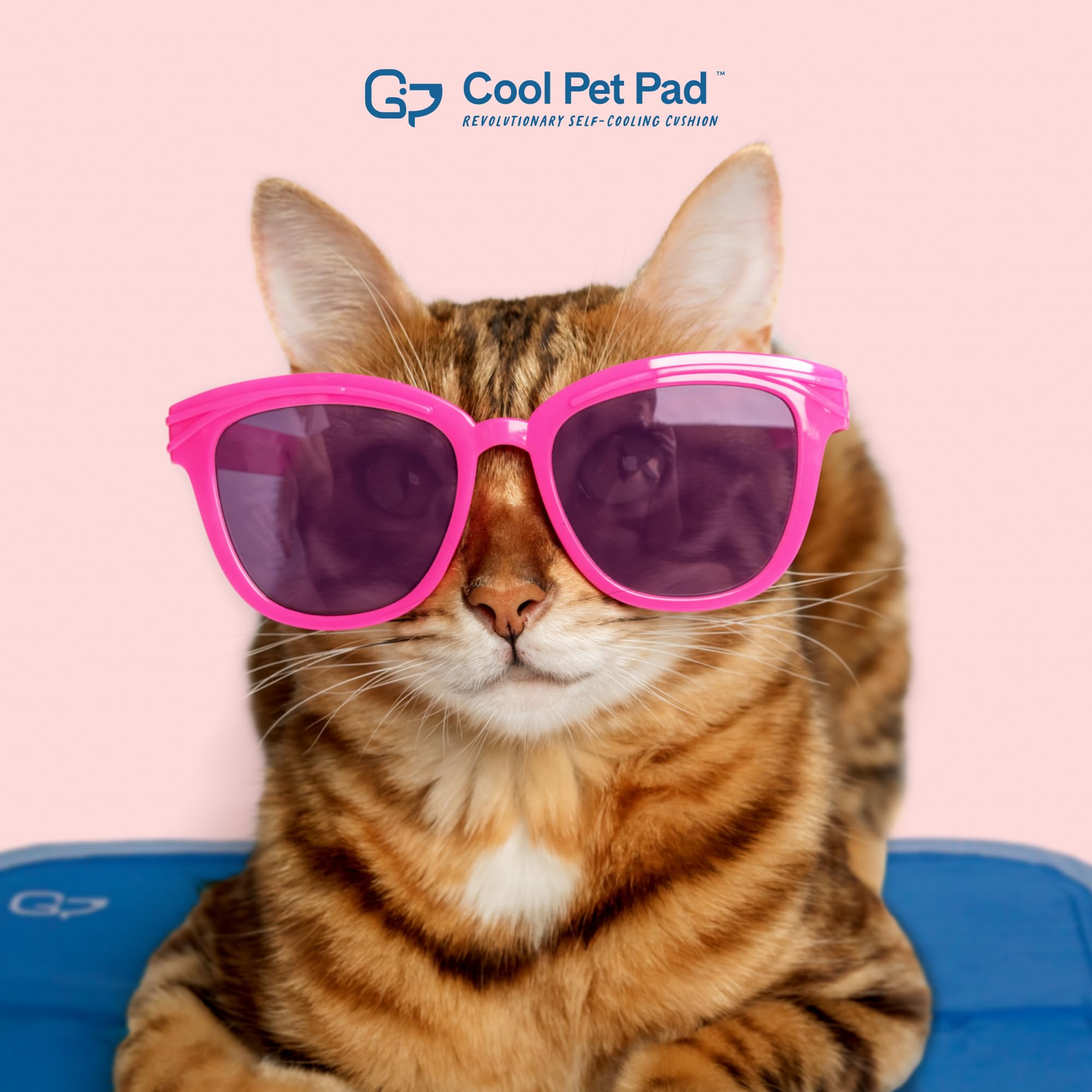 The Green Pet Shop Cool Pet Pad plegado, almacenamiento fácil y transporte.