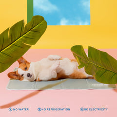 The Green Pet Shop Cool Pet Pad en jaula o cama, ideal para viajes