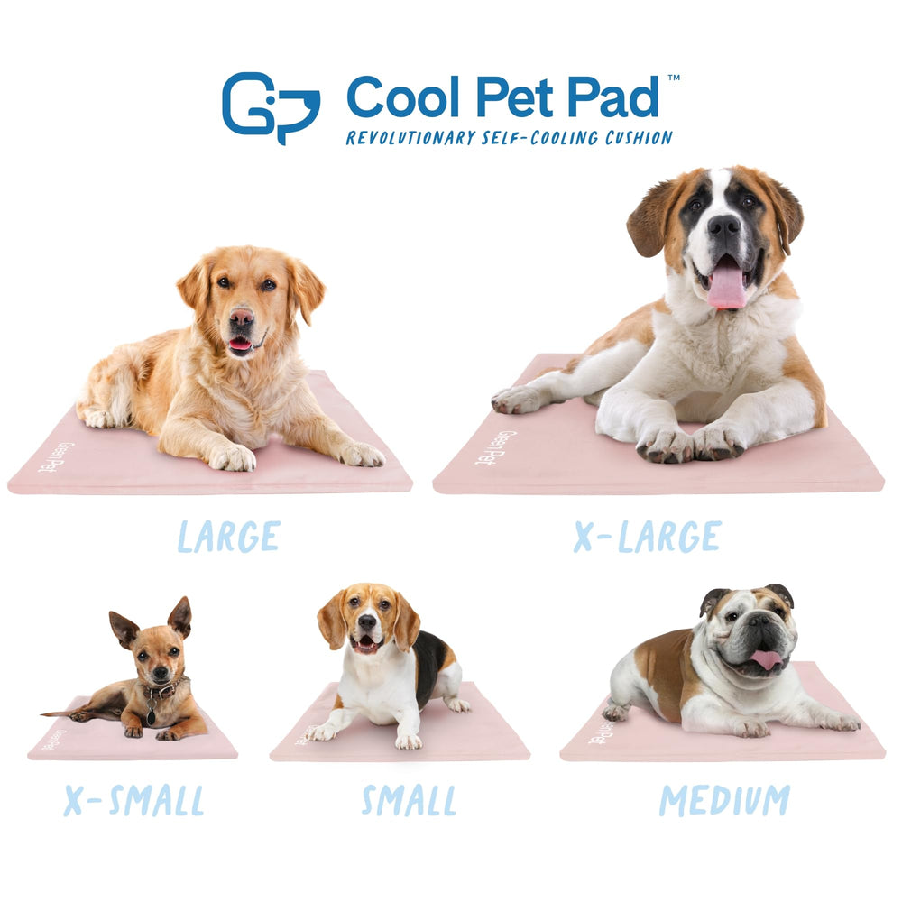 Ideal para perros con patas sucias tras paseos.