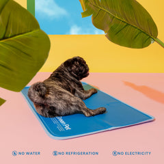 The Green Pet Shop Tecnología de gel auto-recargable para descanso cómodo