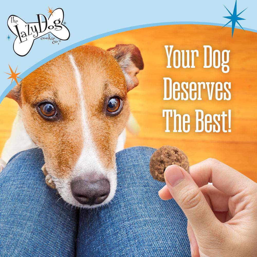 The Lazy Dog Cookie Co. Primer plano de textura suave, ideal para mordiscos ligeros