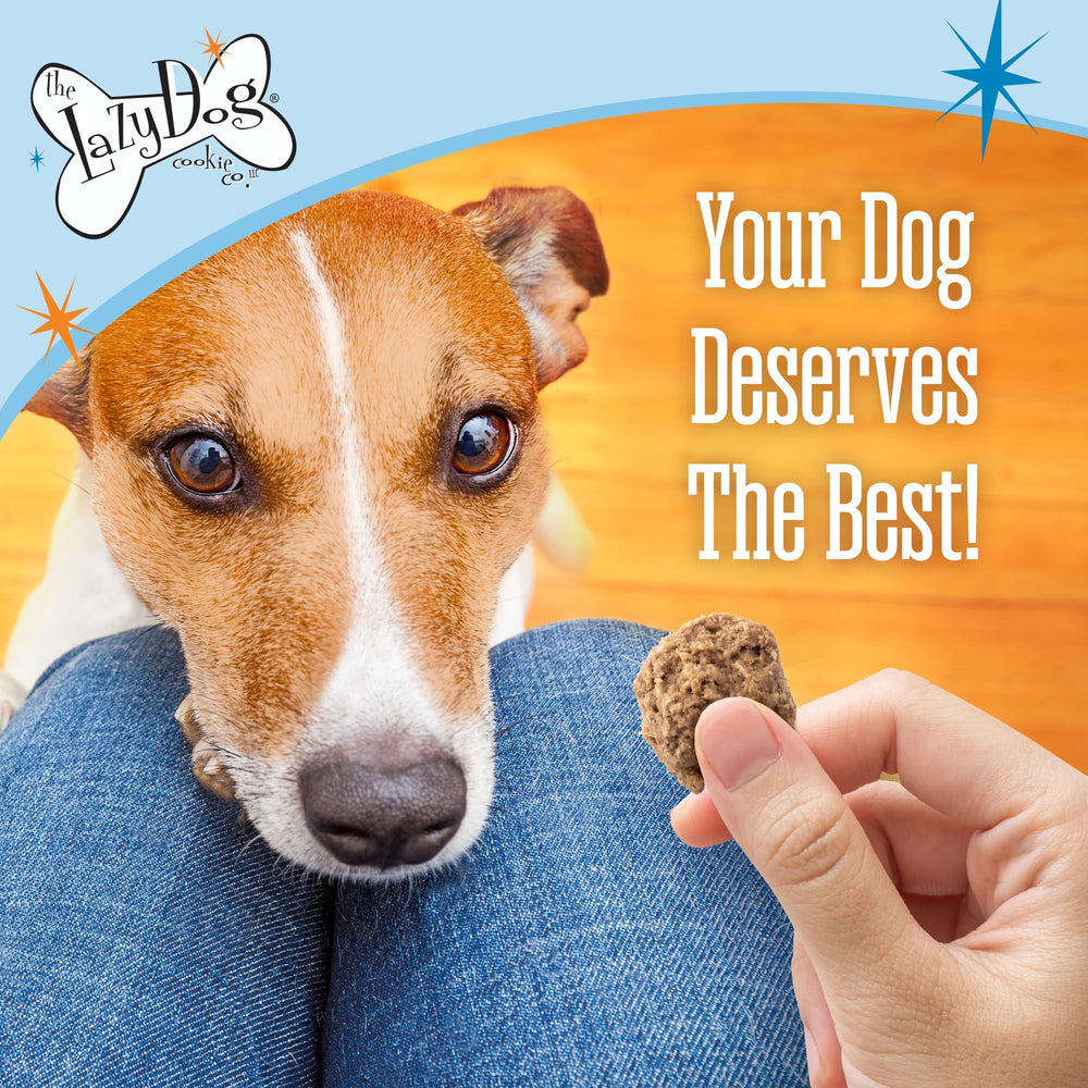 The Lazy Dog Cookie Co. Sin trigo, maíz ni soja: snack limpio para perros.