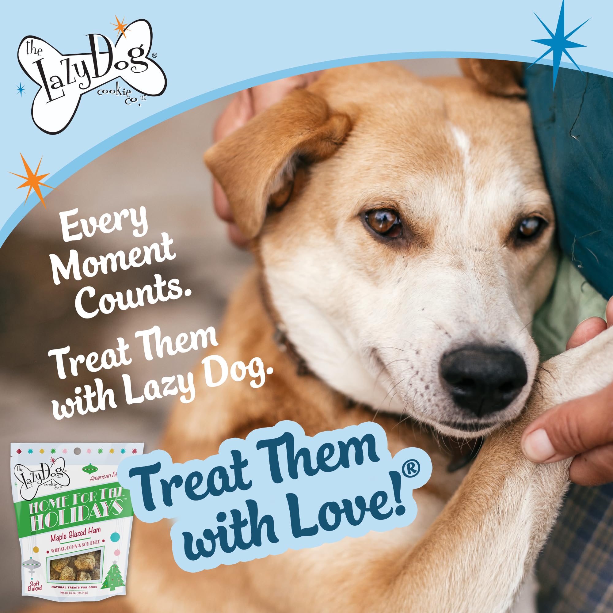 The Lazy Dog Cookie Co. Fiesta festiva: snack sabroso para reuniones con mascotas.