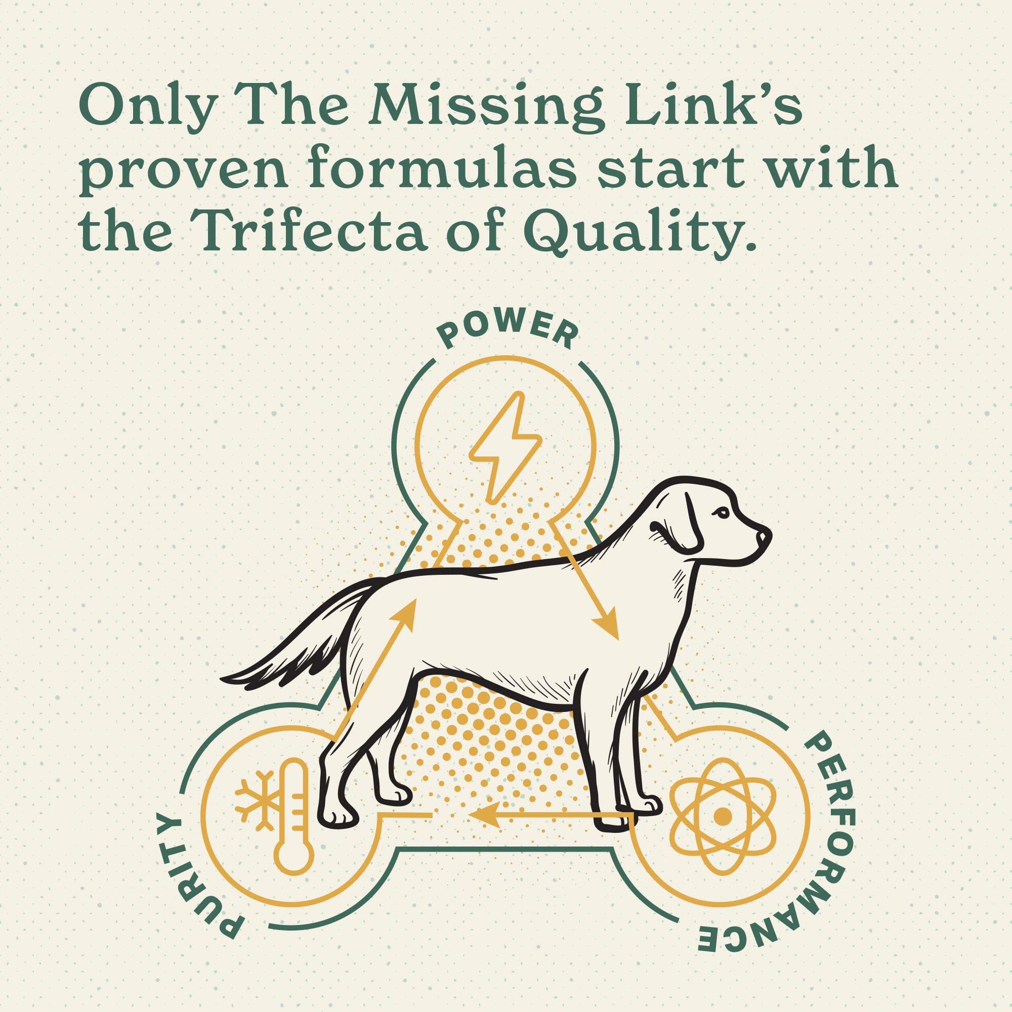 The Missing Link polvo movilidad articular para perros activos.