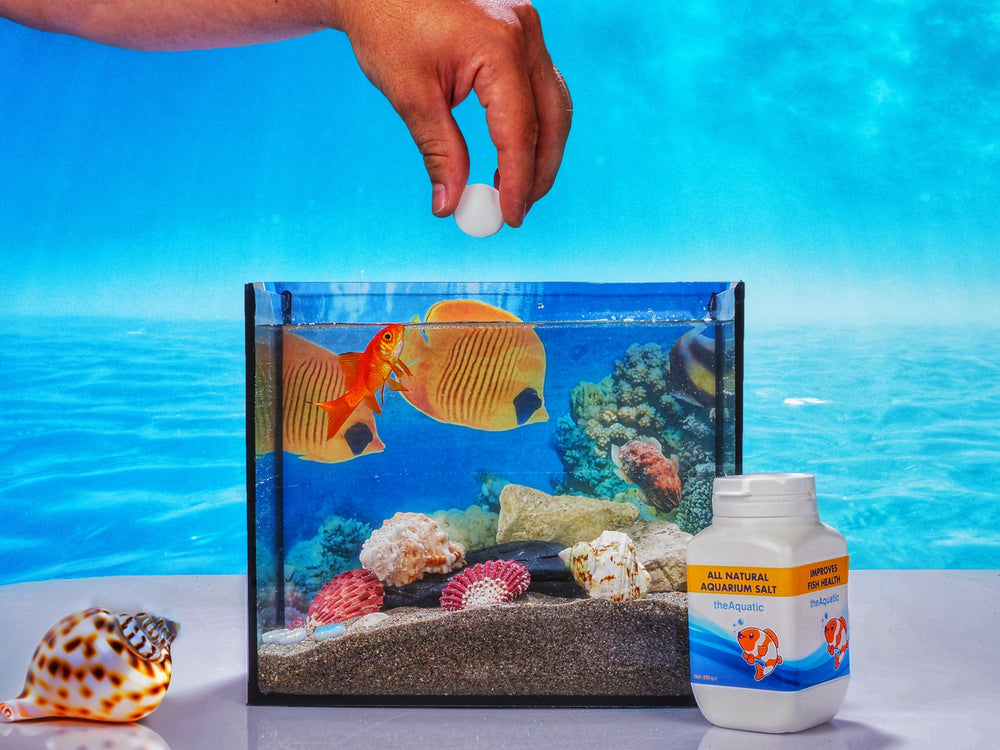 theaquatic: tabletas para dosificación, mantiene electrolitos estables.