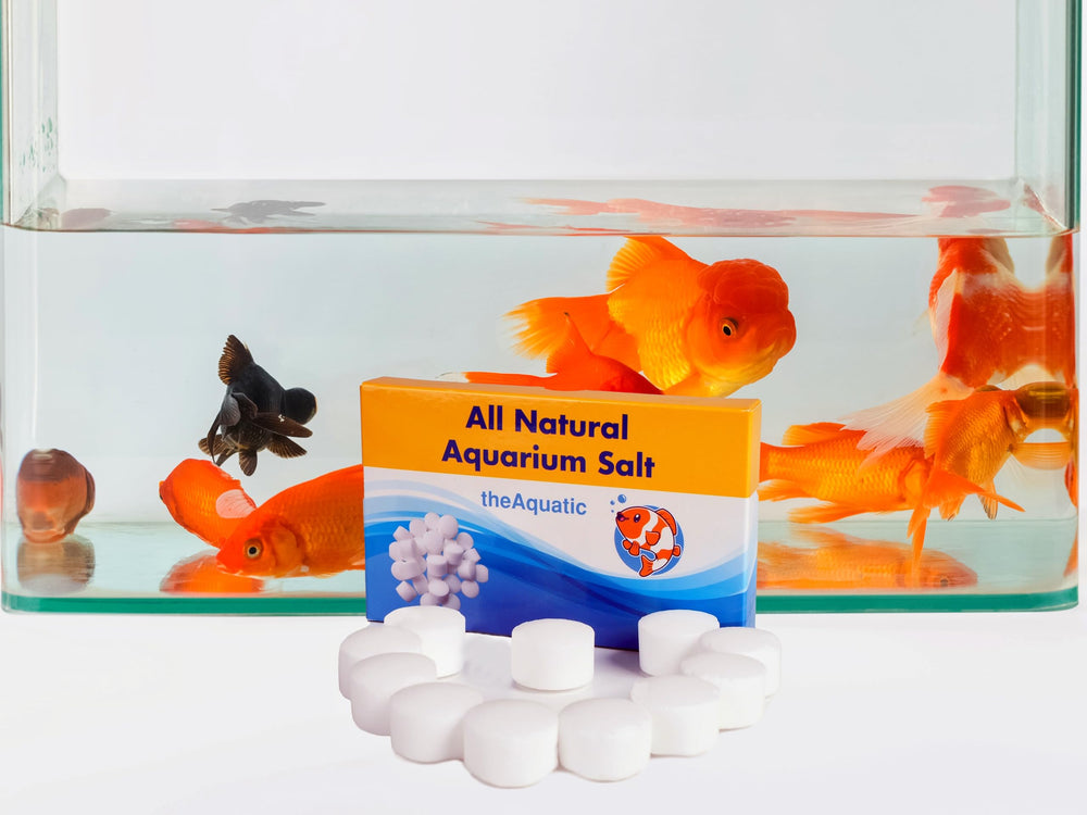 theaquatic: guía de dosificación tras cambio de agua, práctica.