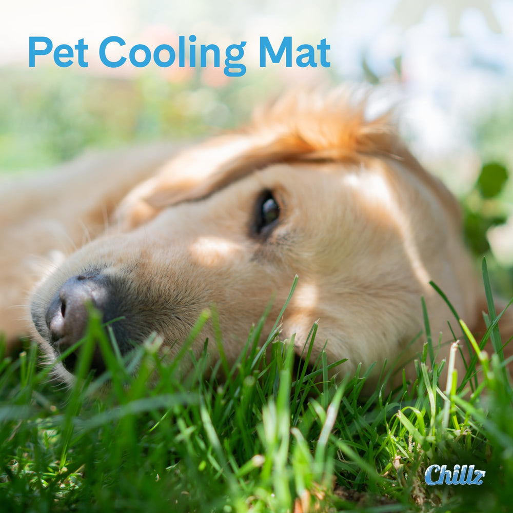 THEGREENPETSHOP Chillz Gel Mat grande en jaula, ideal para viajes y descanso seguro.
