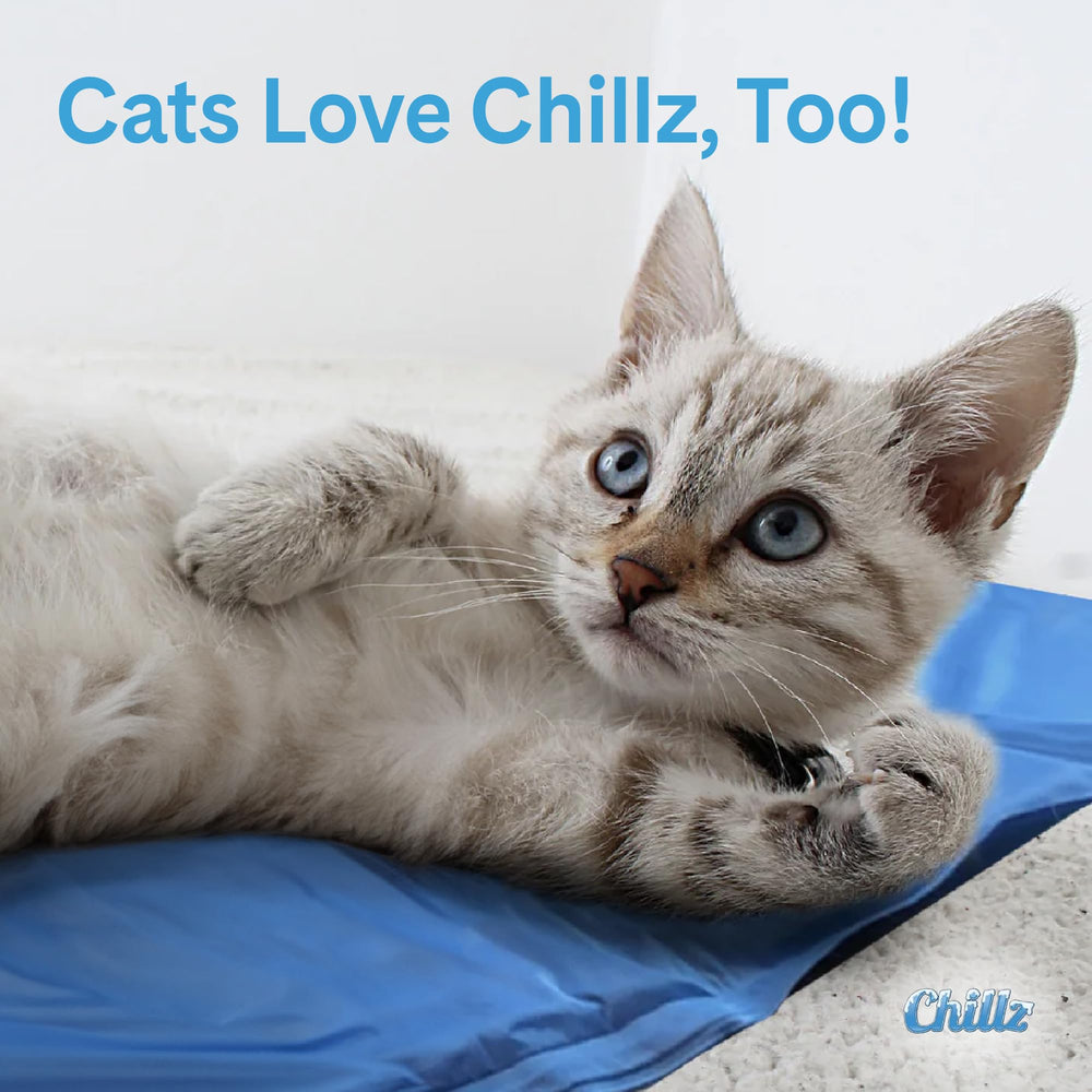 TheGreenPetShop Chillz Gel Mat no tóxica, segura para mascotas y niños.