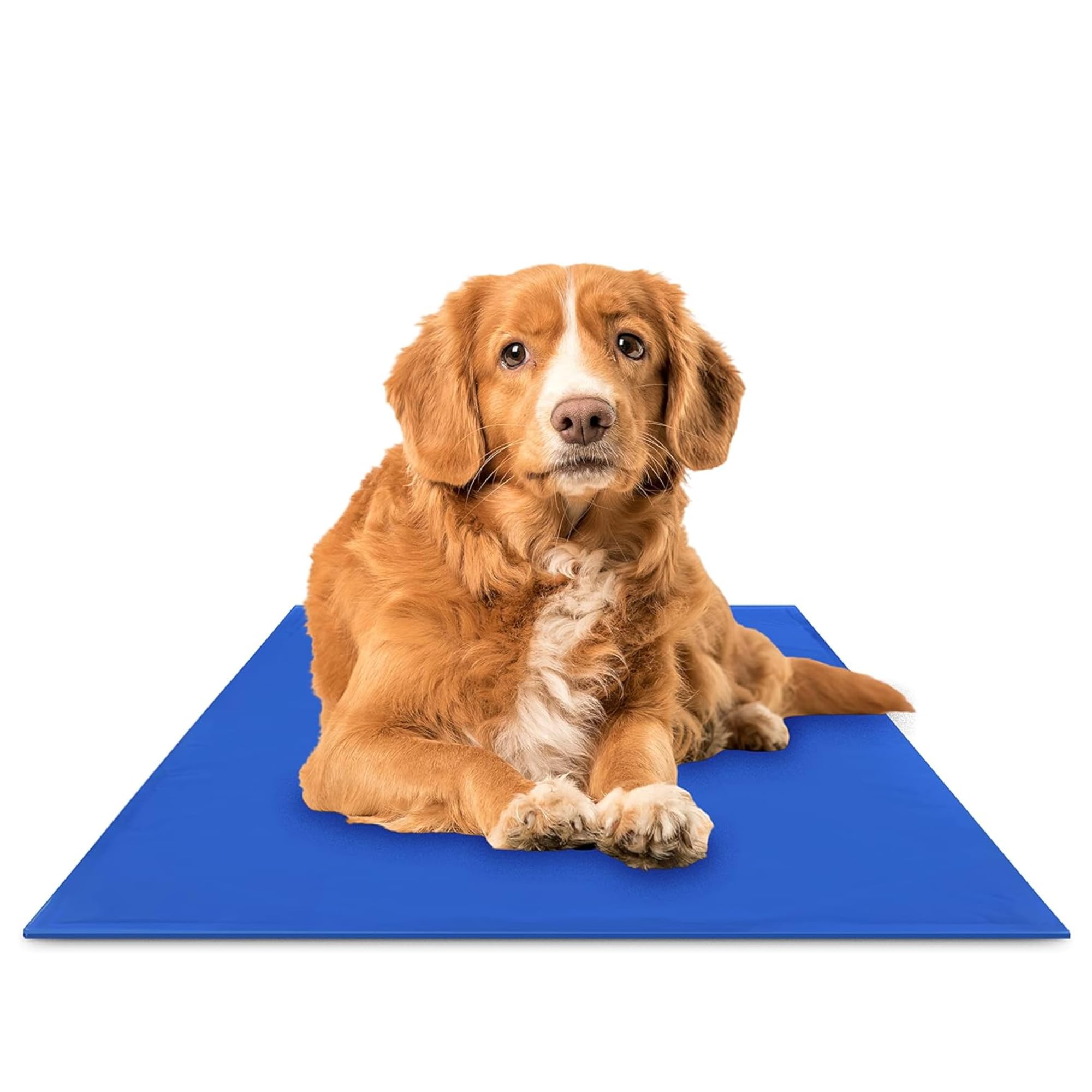 TheGreenPetShop Chillz Gel Mat mediana, superficie refrescante para mascotas, confort inmediato.