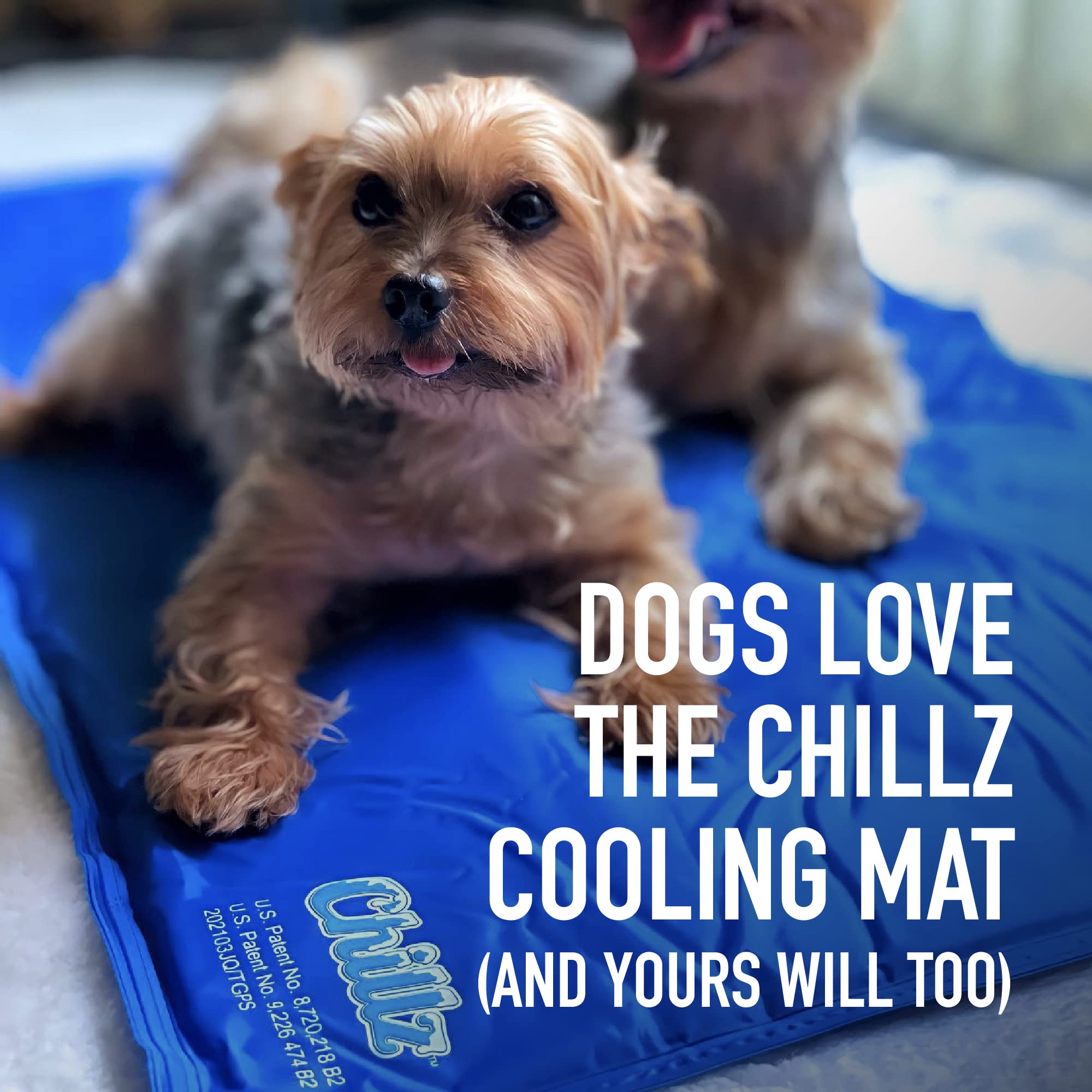 The Green Pet Shop Chillz Gel Mat no tóxico para perros, gatos y humanos.
