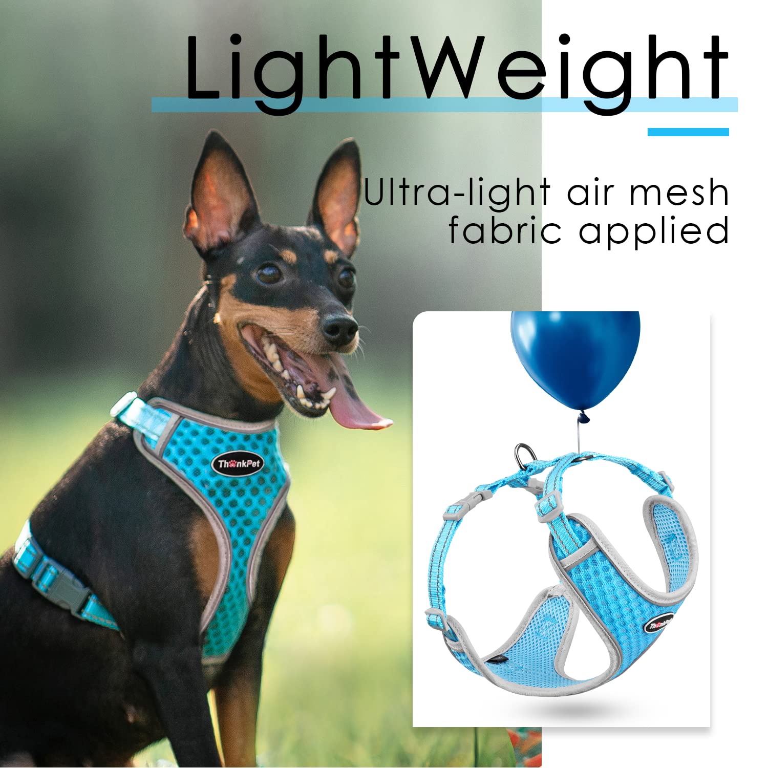ThinkPet ajuste cuatro ranuras para un ajuste cómodo y seguro.