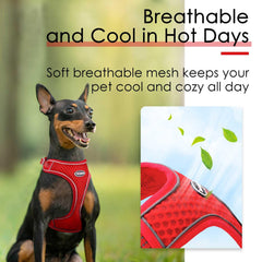 ThinkPet arnés con cuatro correas ajustables para un ajuste perfecto.