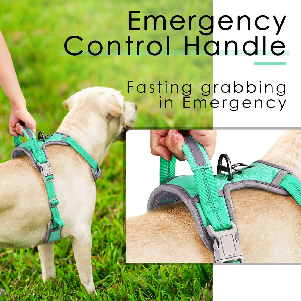 ThinkPet arnés ajustable XL turquesa para perros grandes.