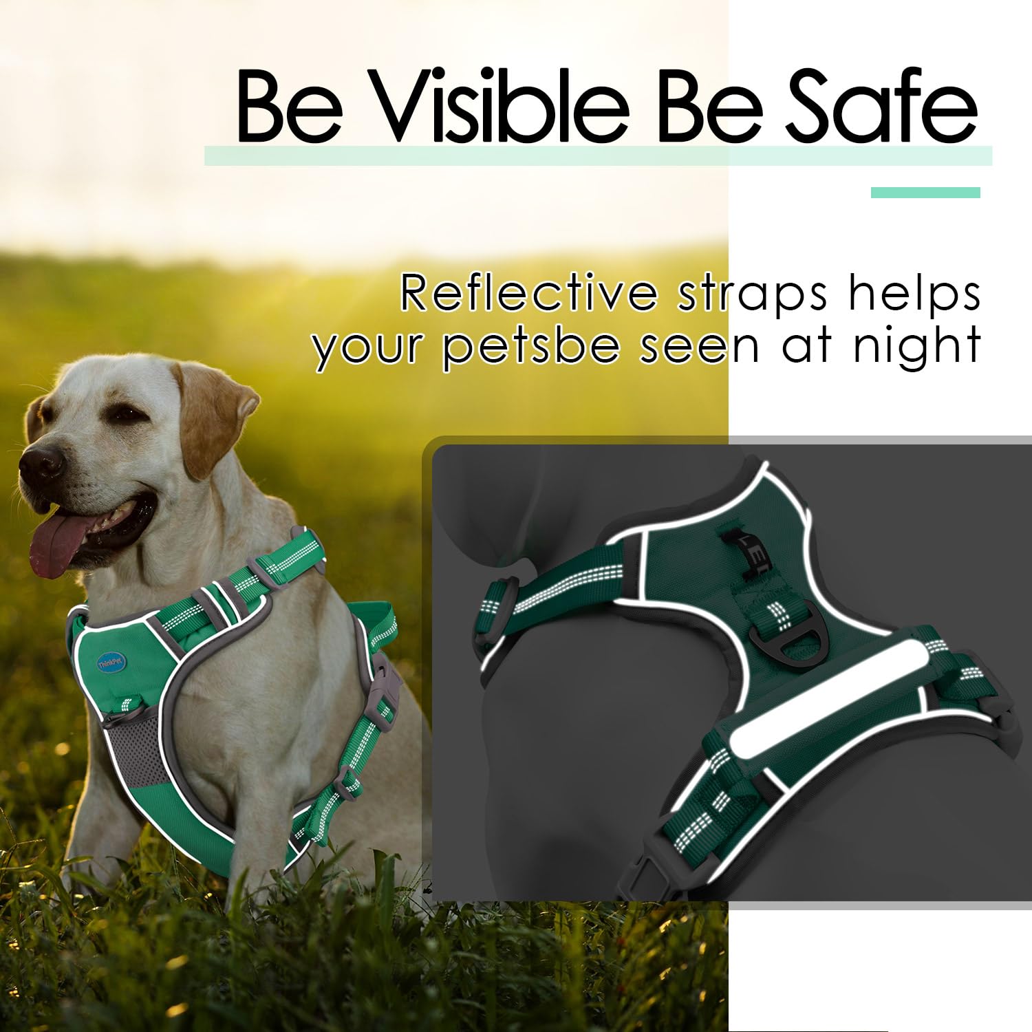 ThinkPet arnés con detalles reflectantes para seguridad nocturna.