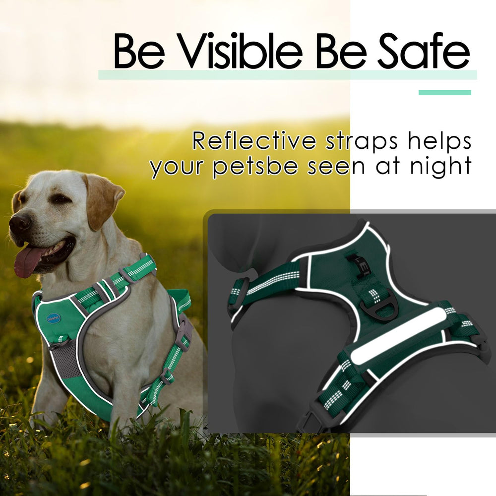 ThinkPet arnés con detalles reflectantes para seguridad nocturna.
