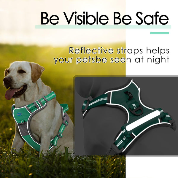 ThinkPet arnés con detalles reflectantes para seguridad nocturna.